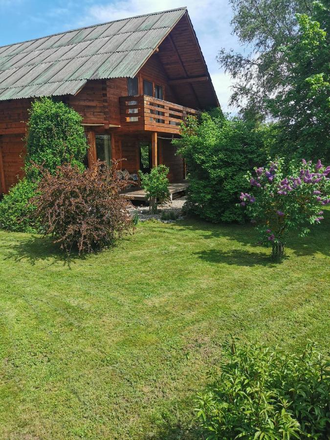 Moldoveneşti The Wooden House 빌라 외부 사진
