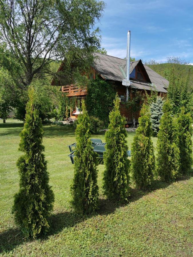 Moldoveneşti The Wooden House 빌라 외부 사진