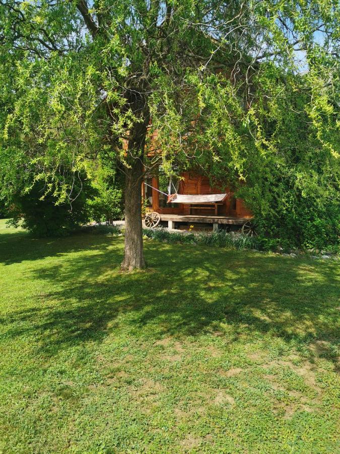 Moldoveneşti The Wooden House 빌라 외부 사진