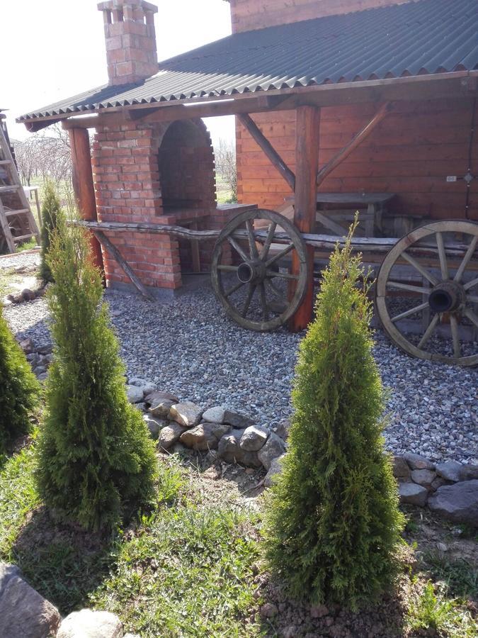 Moldoveneşti The Wooden House 빌라 외부 사진