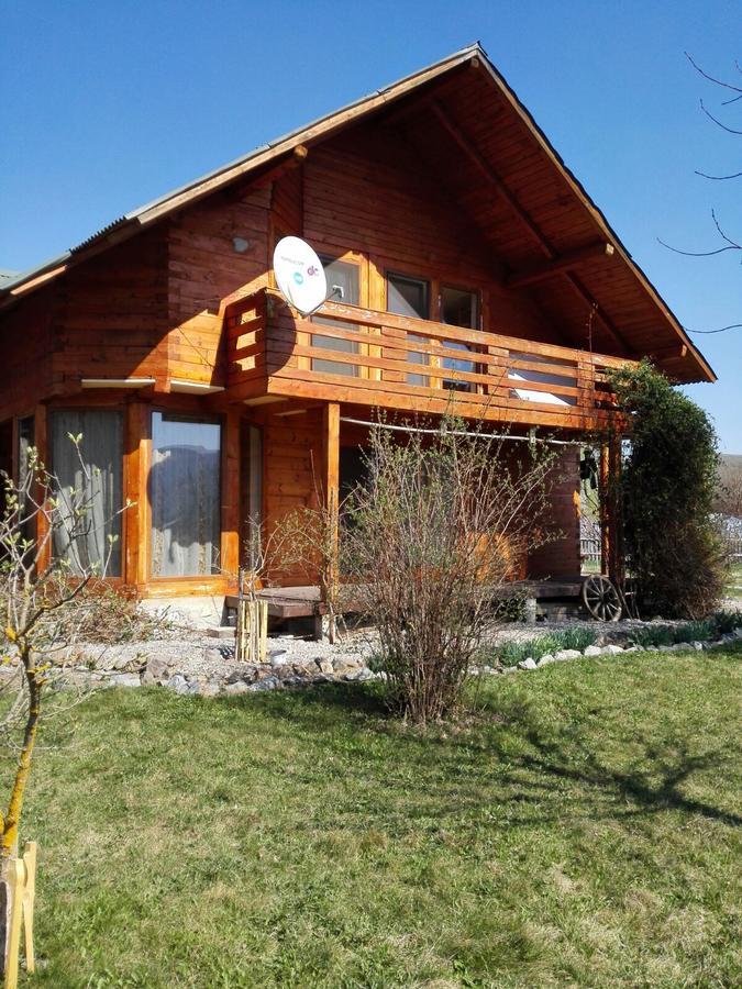 Moldoveneşti The Wooden House 빌라 외부 사진