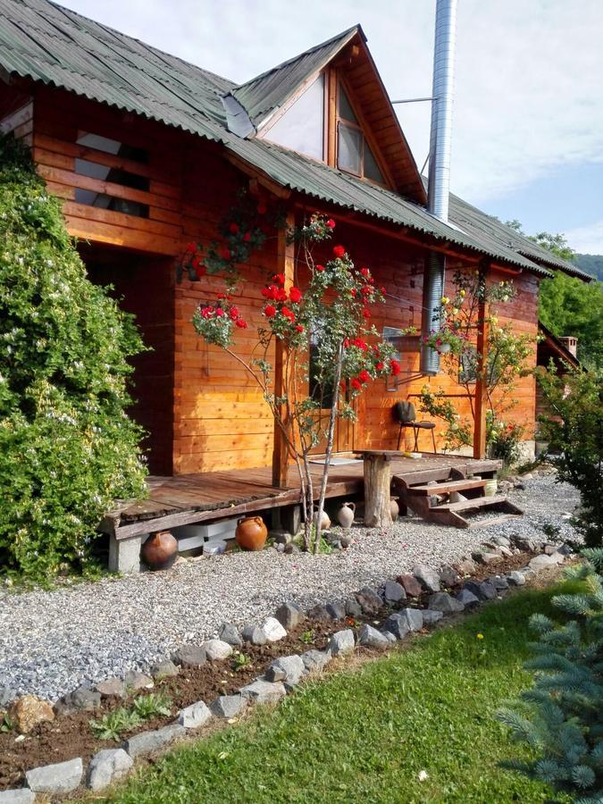 Moldoveneşti The Wooden House 빌라 외부 사진