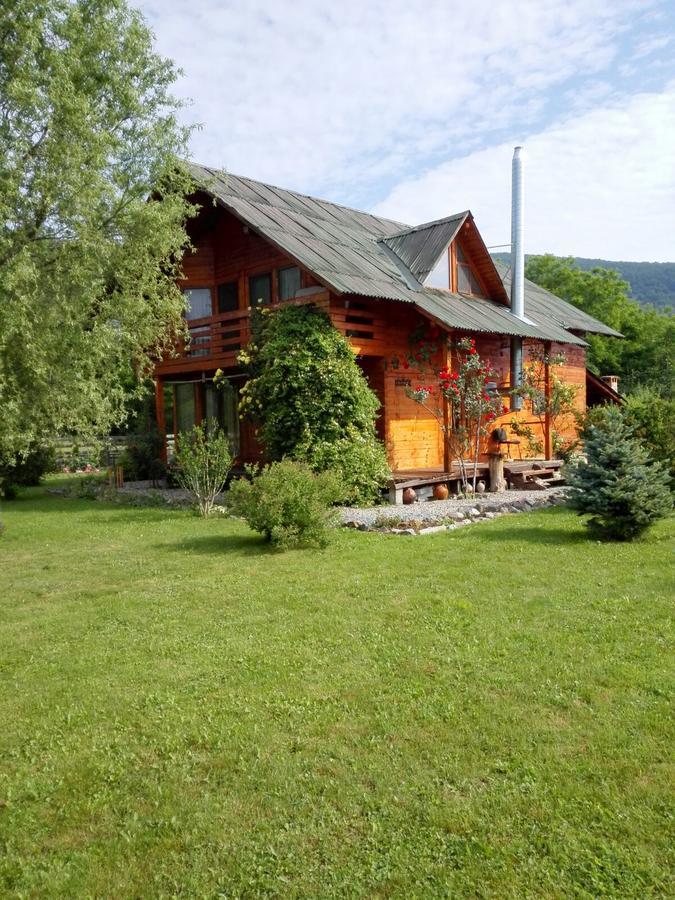 Moldoveneşti The Wooden House 빌라 외부 사진