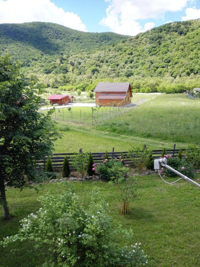 Moldoveneşti The Wooden House 빌라 외부 사진