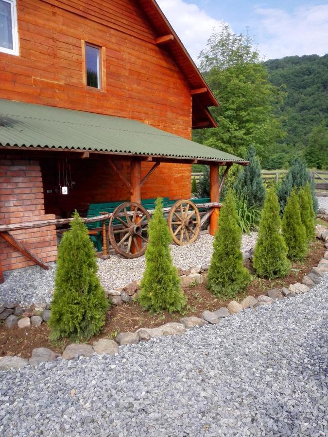 Moldoveneşti The Wooden House 빌라 외부 사진