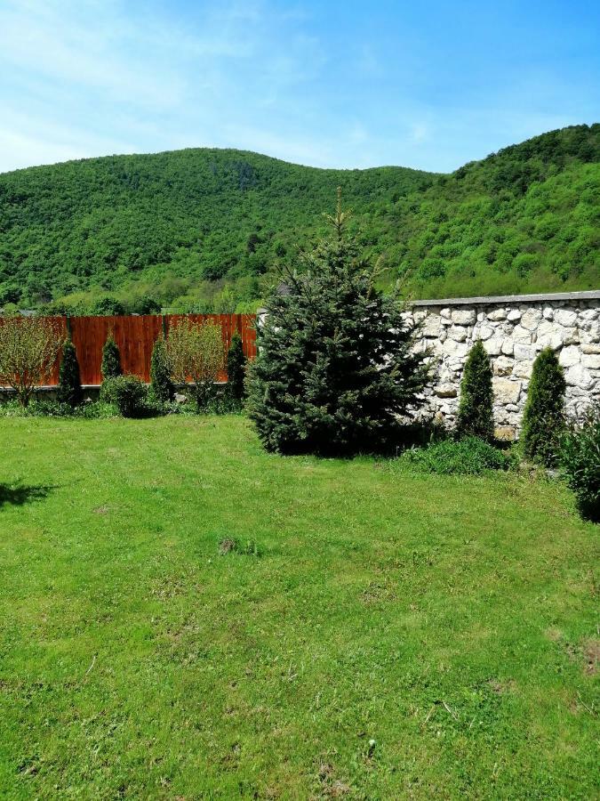 Moldoveneşti The Wooden House 빌라 외부 사진
