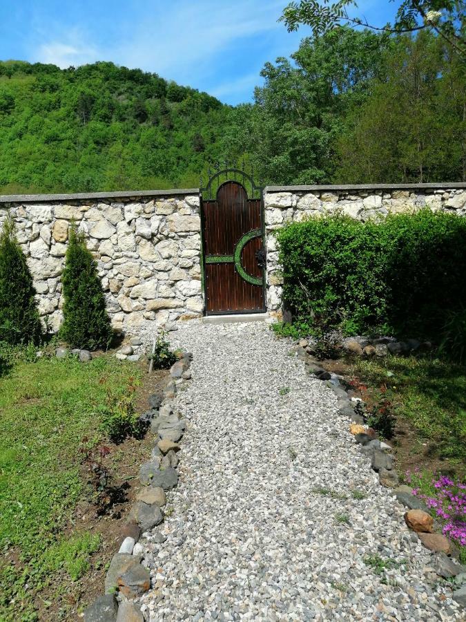 Moldoveneşti The Wooden House 빌라 외부 사진