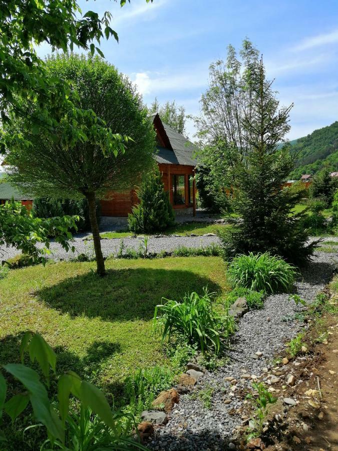 Moldoveneşti The Wooden House 빌라 외부 사진